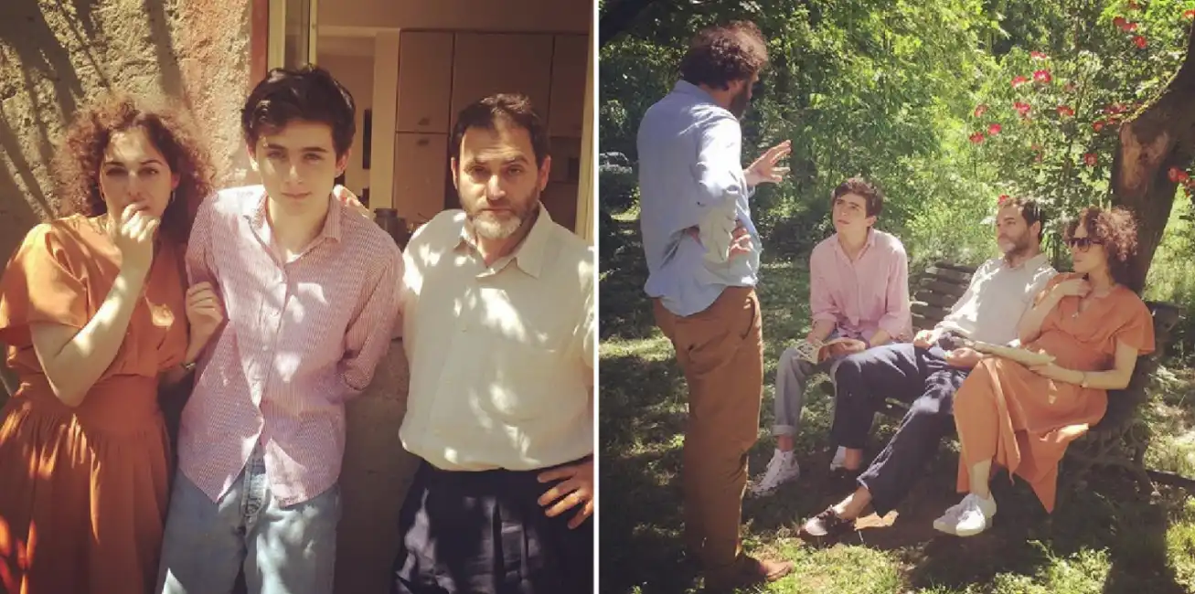 timothee chalame michael stuhlbarg luca guadagnino call me by your name