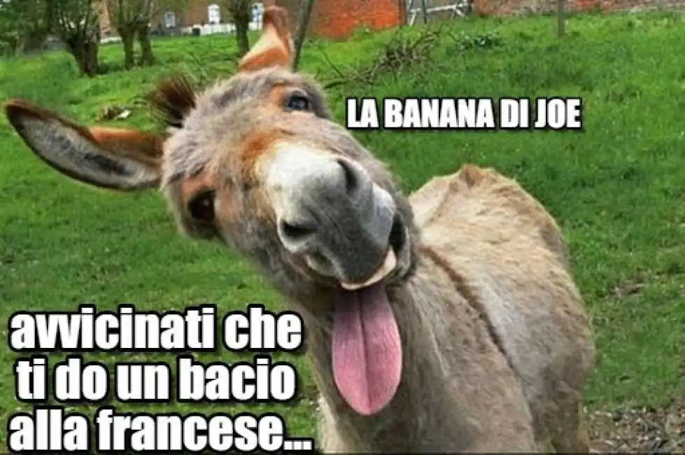 bacio francese meme