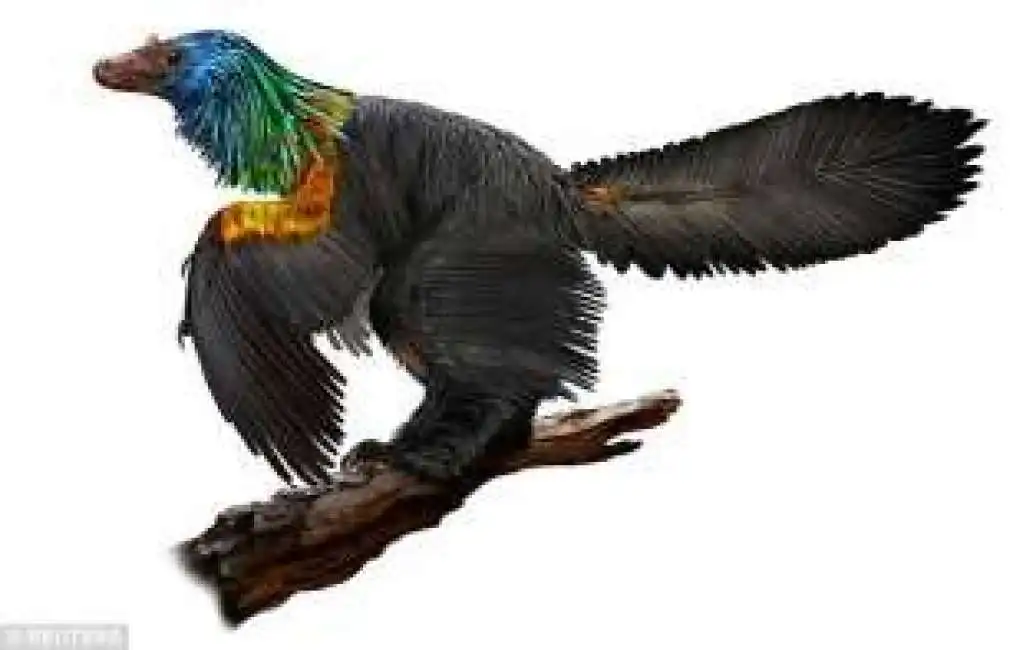 dinosauro arcobaleno -975943_tn