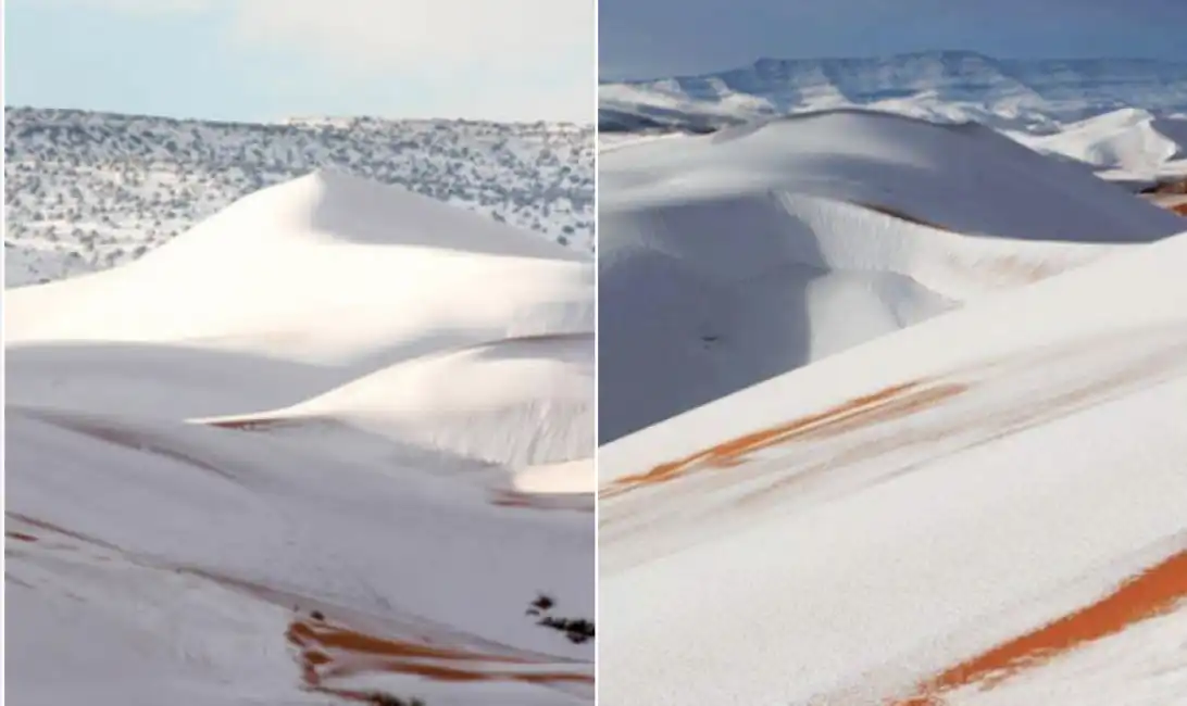 sahara neve