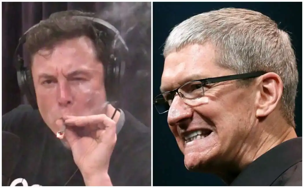 elon musk tim cook