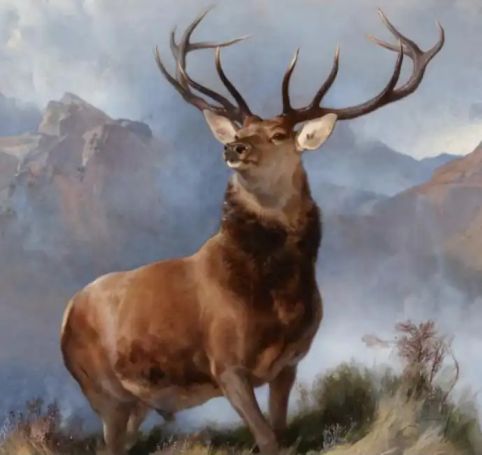 landseer 1