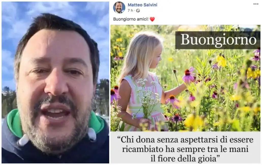 matteo salvini 