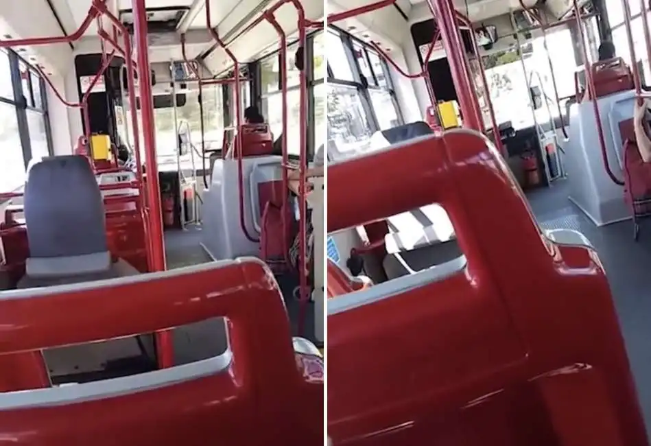 padova autista autobus