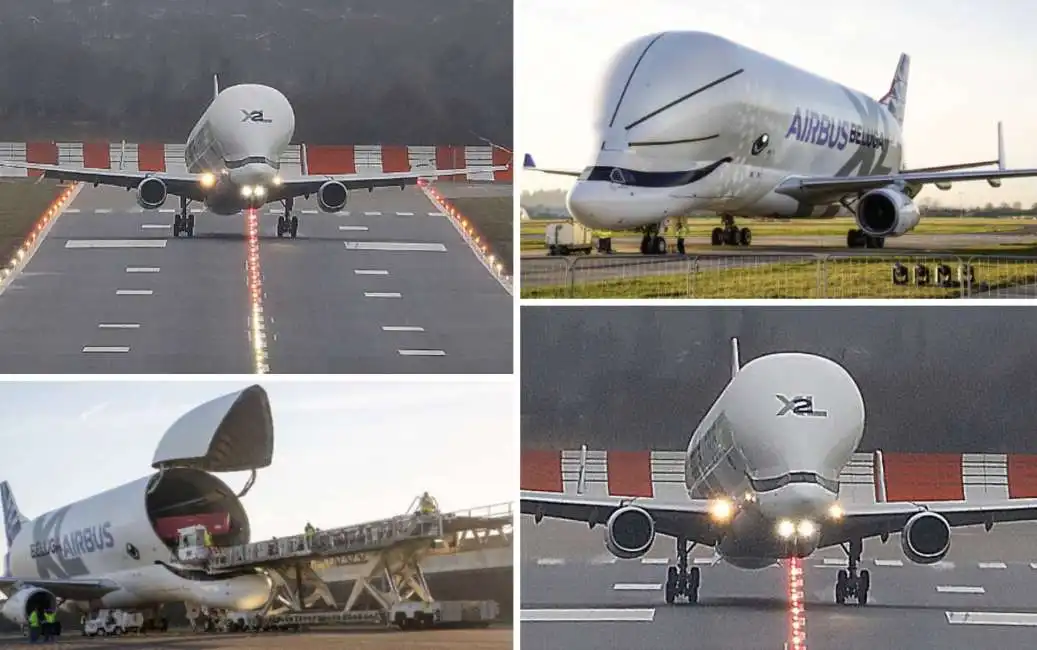 airbus beluga xl