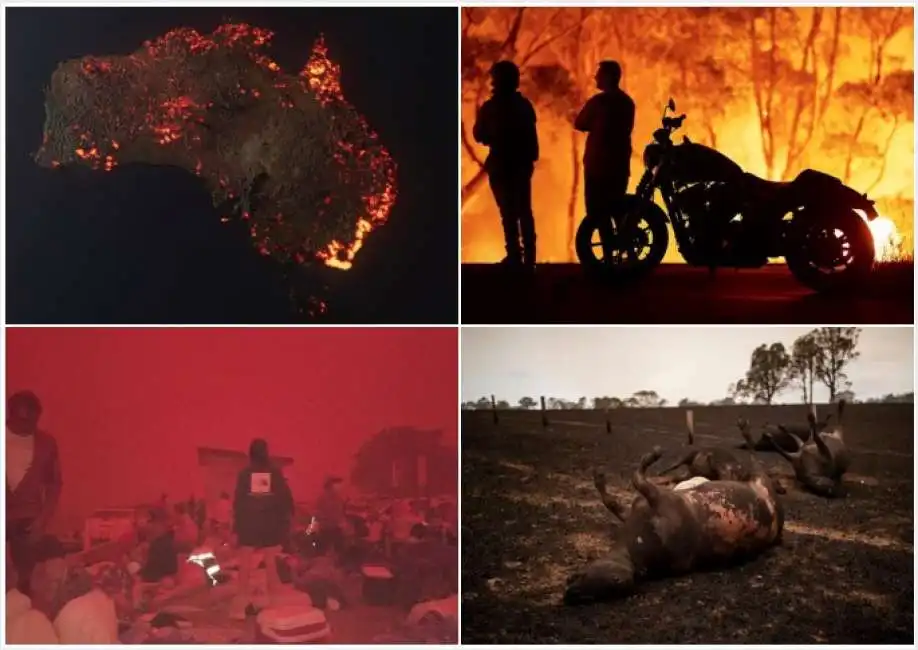 incendi australia