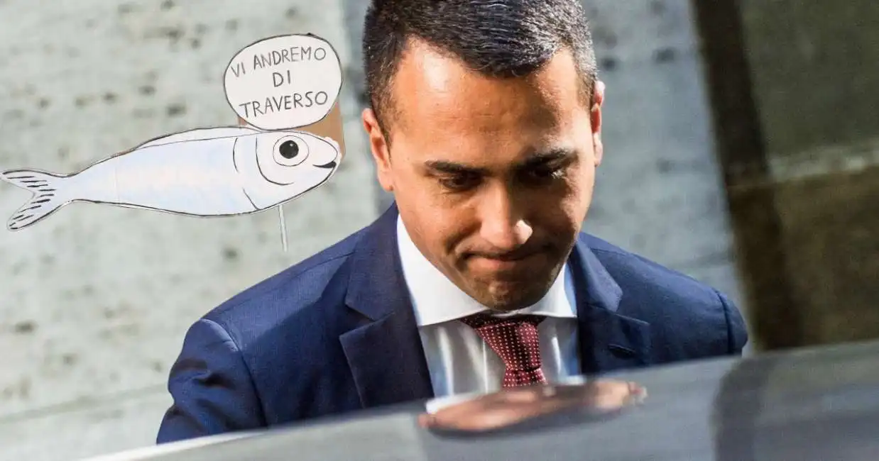 luigi di maio sardine grillini sardina m5s