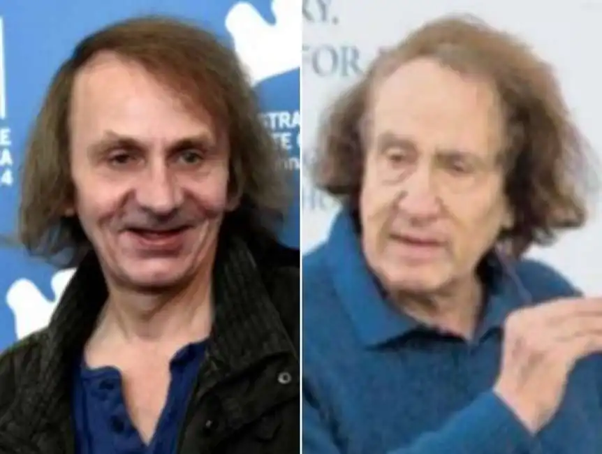 cesare paladino michel houellebecq