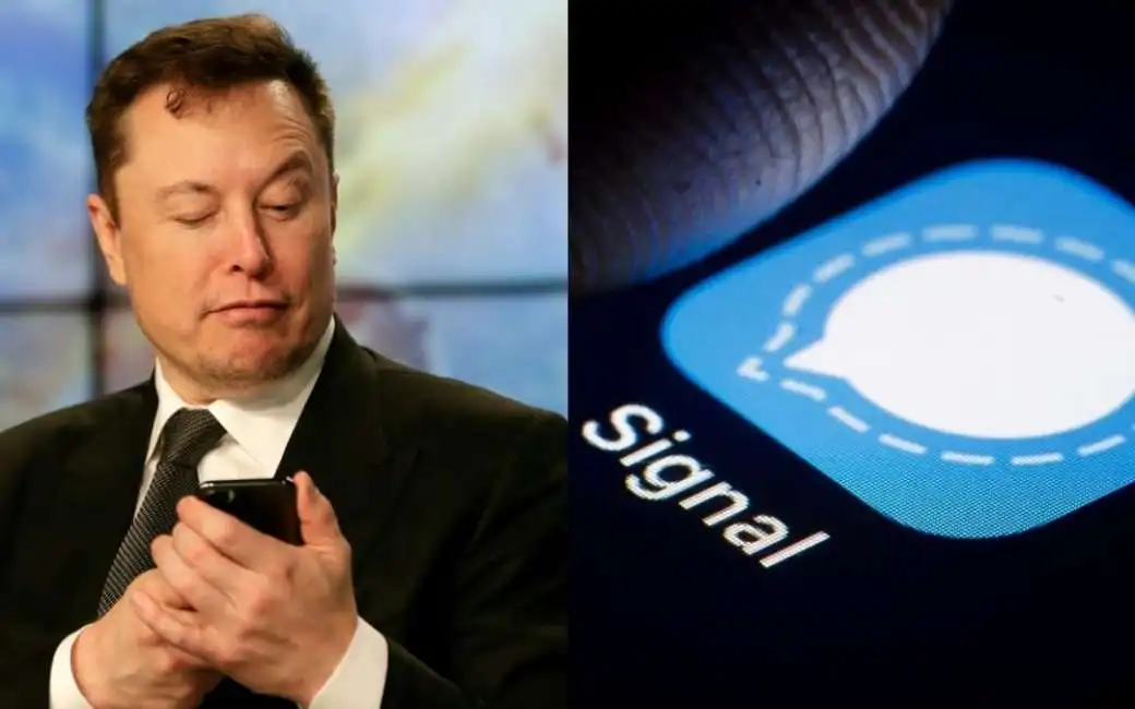 musk signal musksignal