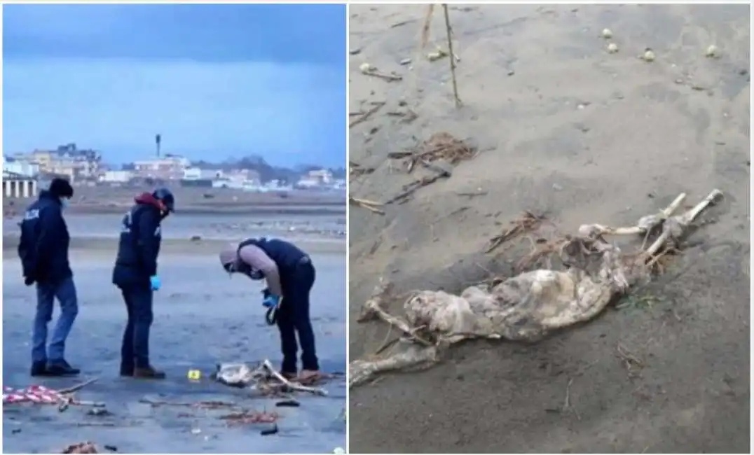 scheletro spiaggia latina