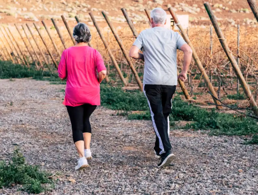 76enne faceva jogging al parco ma per l'inps era cieca totale