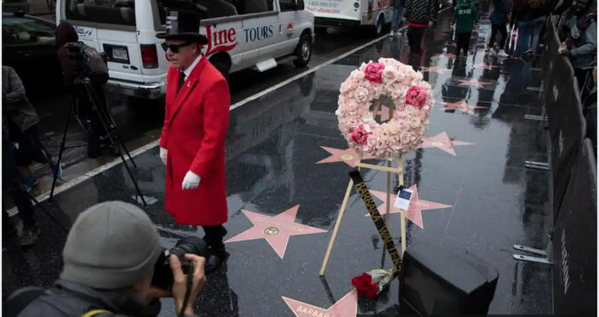 hollywood walk of fame