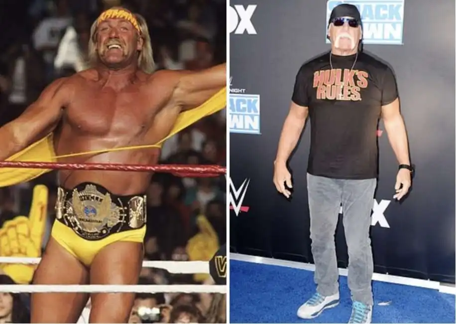 hulk hogan