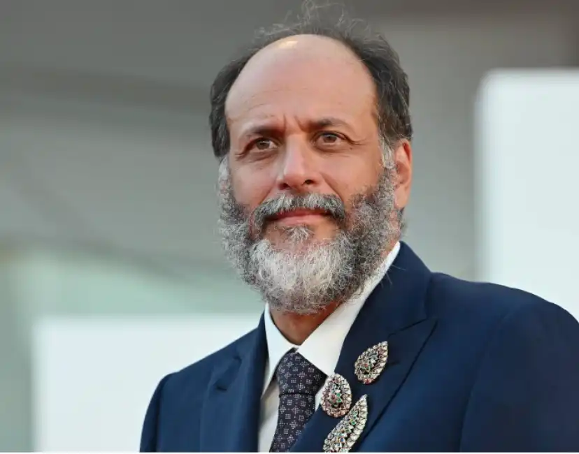 luca guadagnino