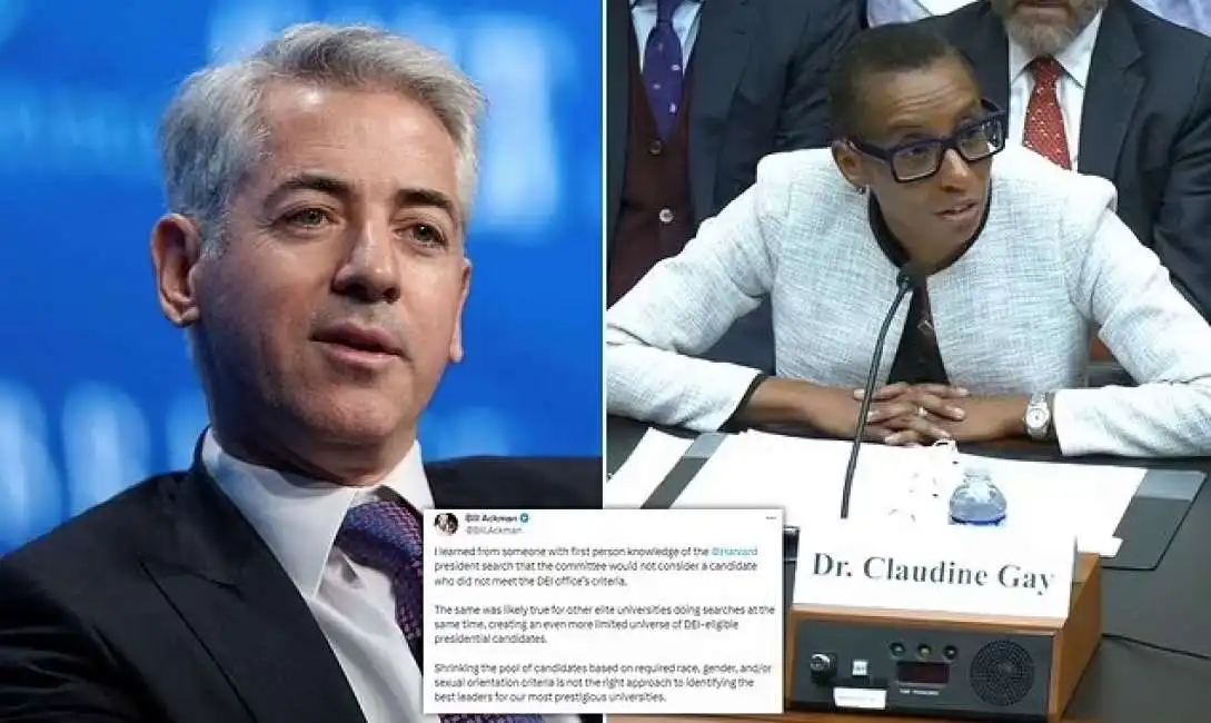 bill ackman claudine gay