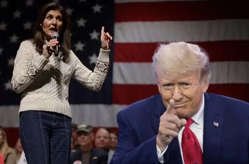 nikki haley donald trump 