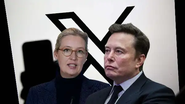 elon musk alice weidel x 