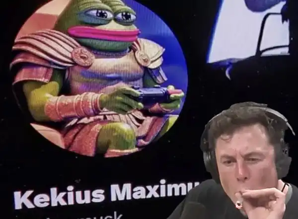 elon musk kekius maximus