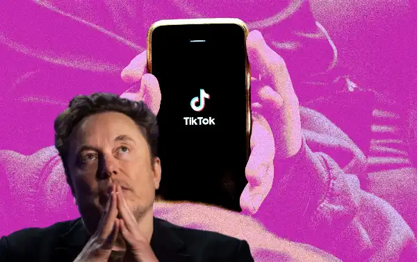 elon musk tiktok 