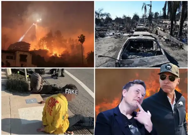 incendio a los angeles gavin newsom elon musk