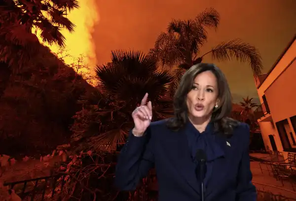 kamala harris incendio incendi los angeles