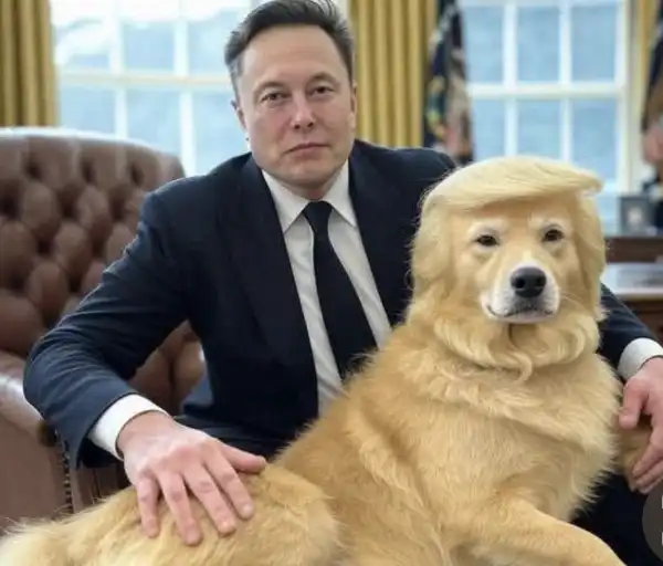 meme di elon musk con trump versione cane