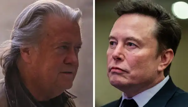 steve bannon elon musk