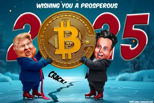 trump musk bitcoin