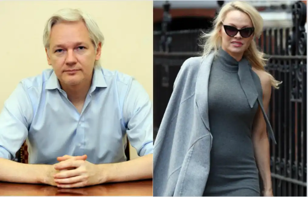 assange pamela anderson