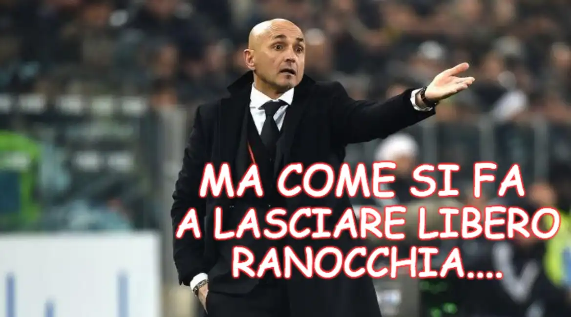 meme spalletti ranocchia