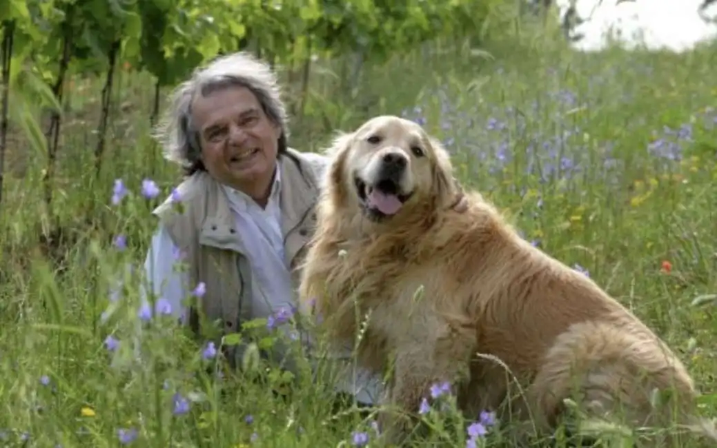 brunetta cane campagna