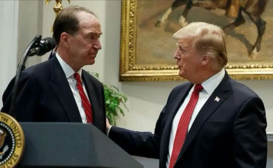 donald trump david malpass