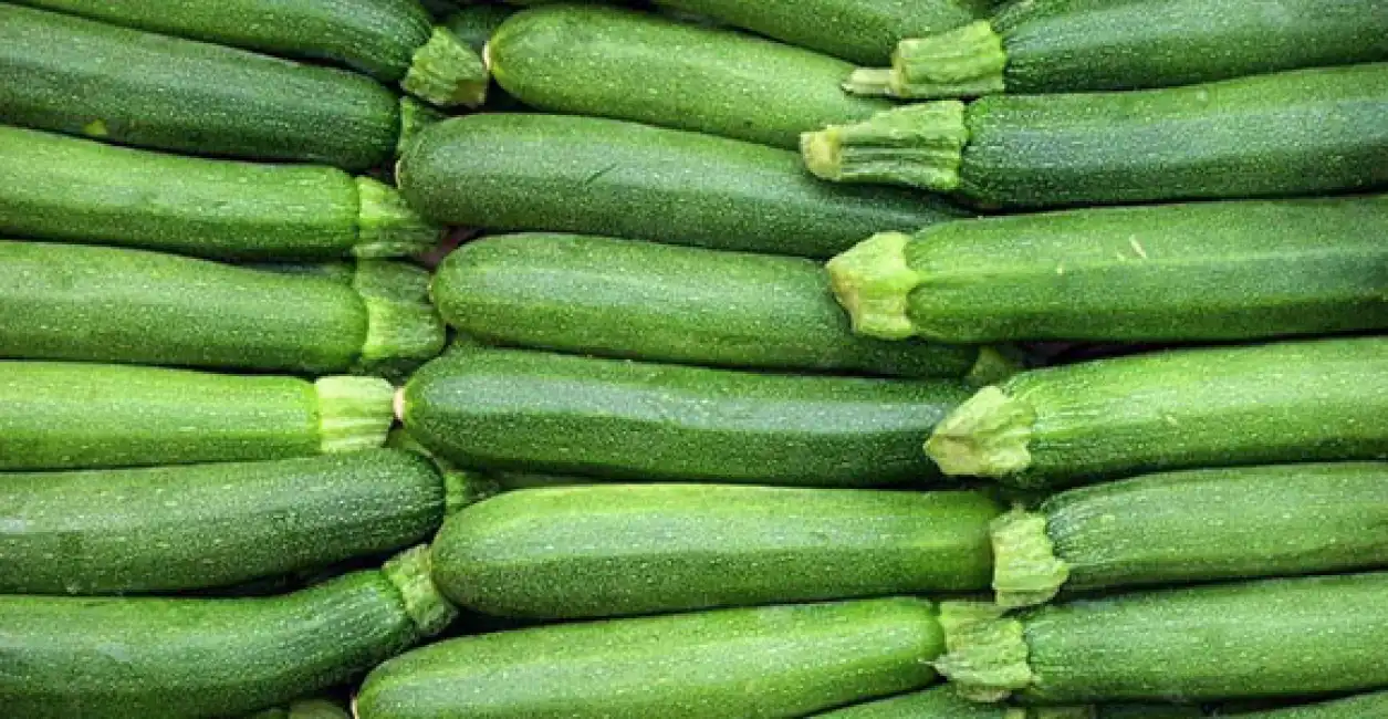 zucchine