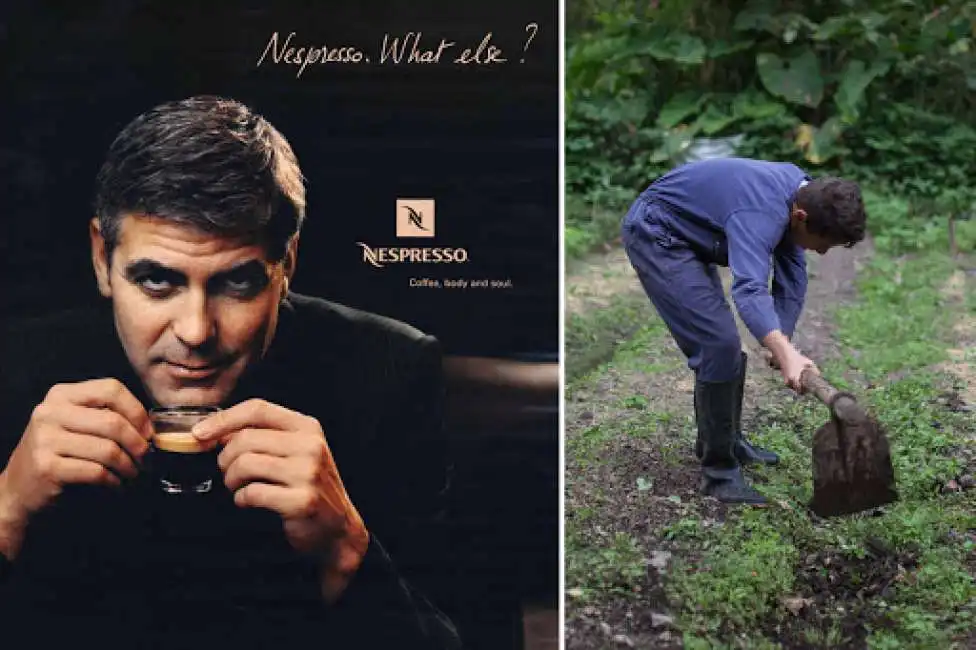 george clooney nespresso guatemala