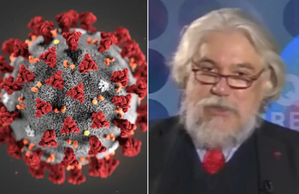 meluzzi coronavirus