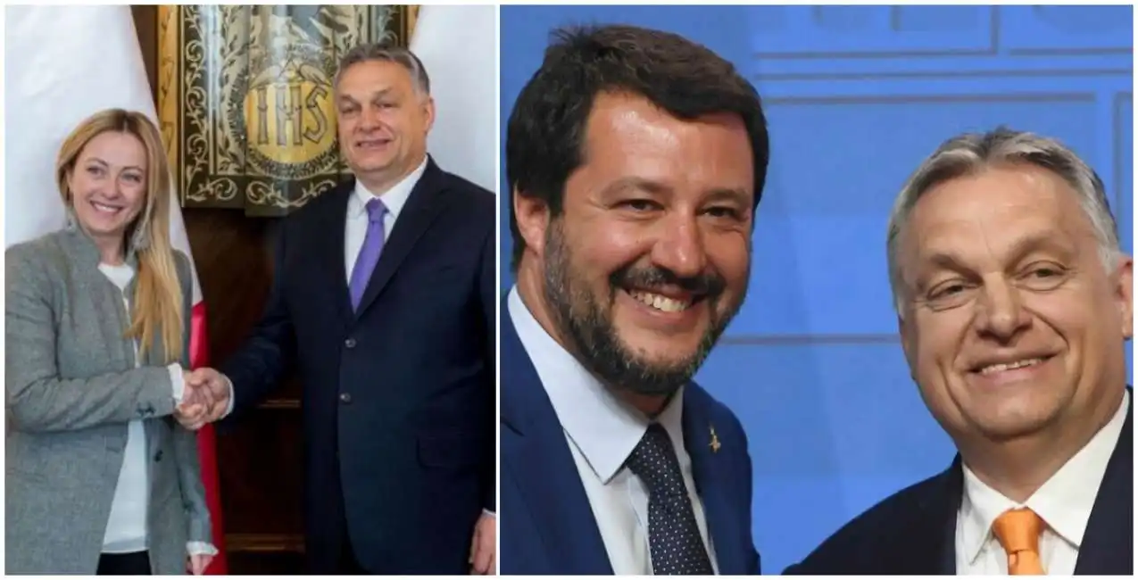 salvini meloni orban