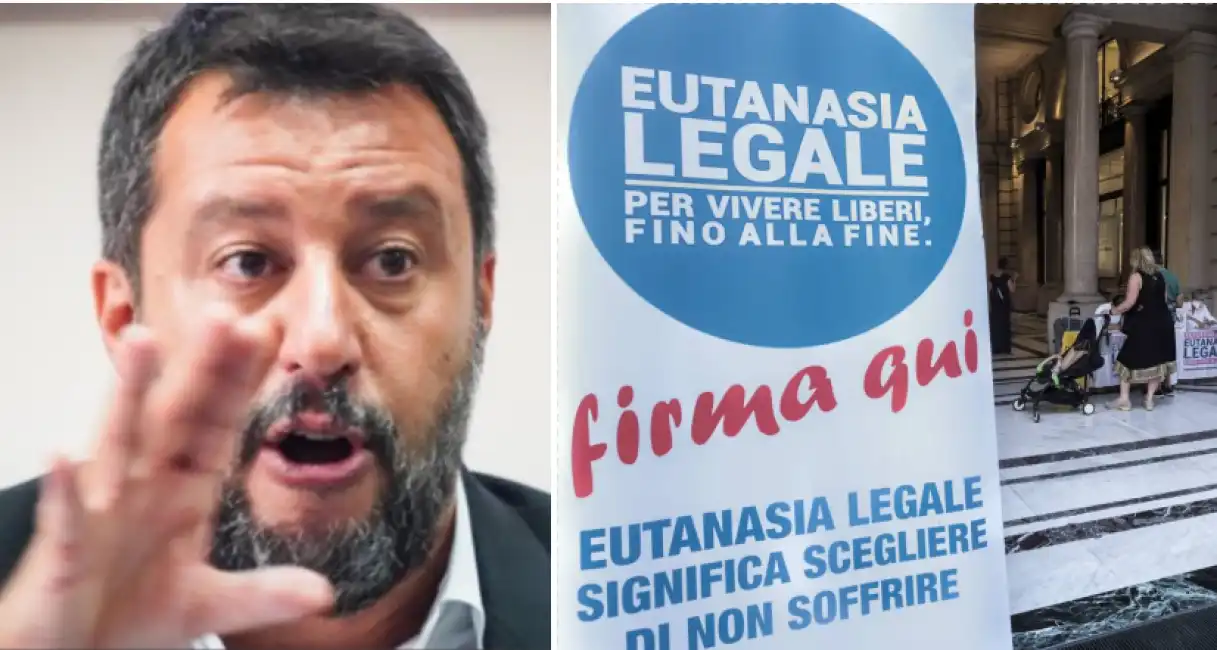 salvini eutanasia legale