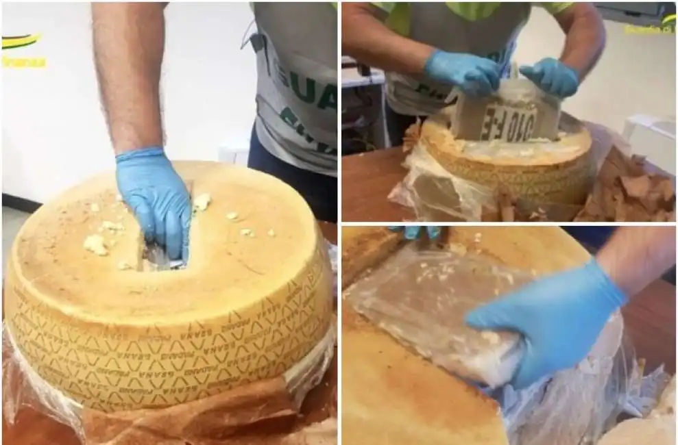 cocaina forme di parmigiano droga grana padano