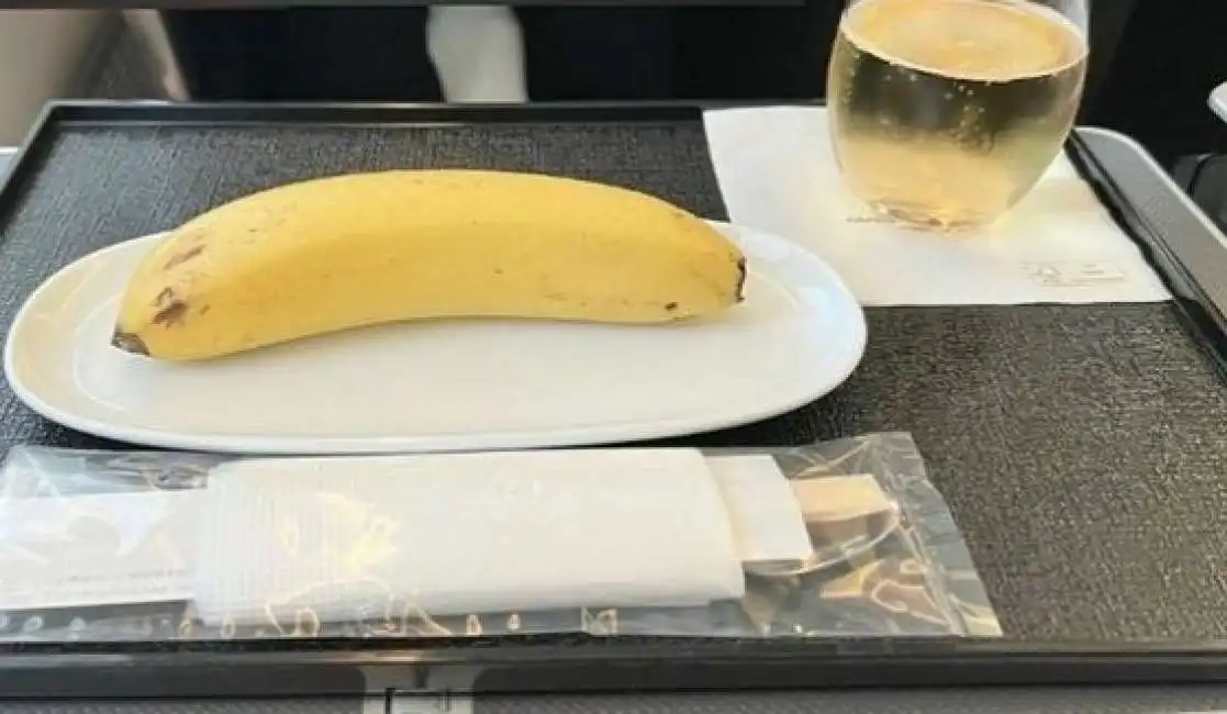 pranzo vegano su un aereo della japan airlines