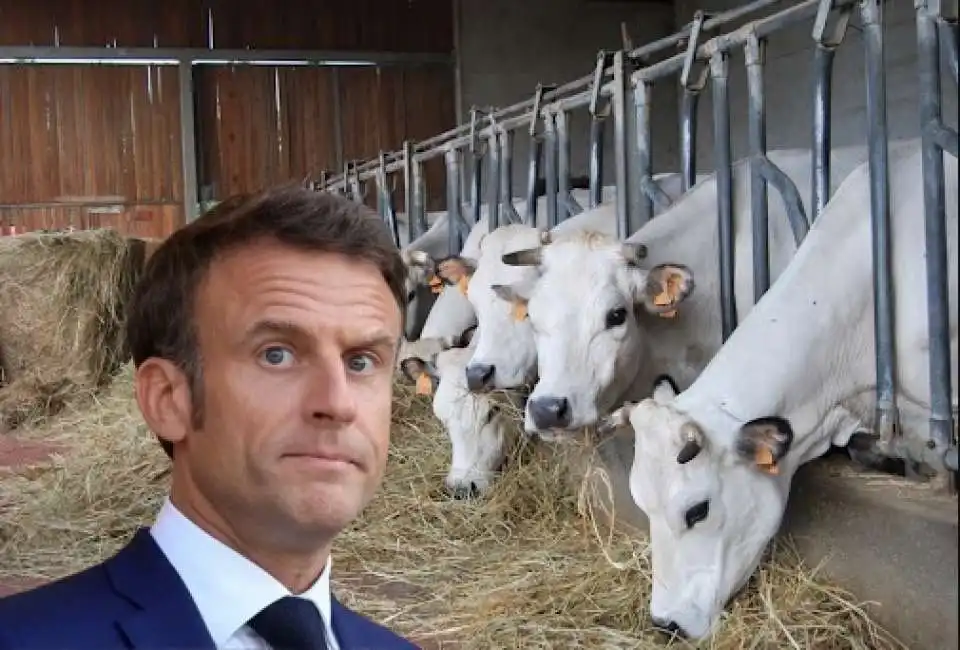 emmanuel macron in fattoria