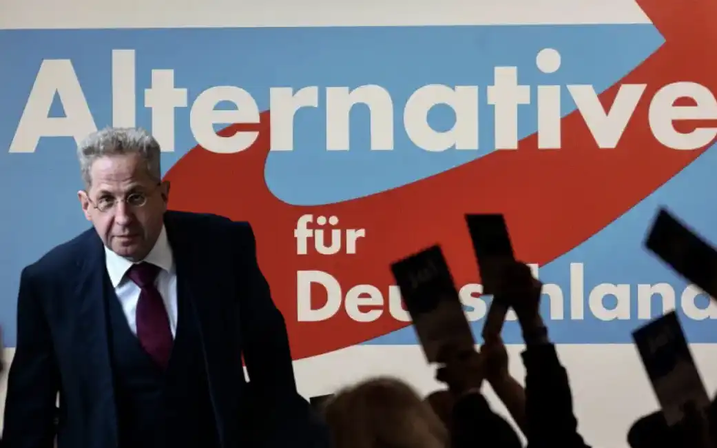 hans-georg maassen afd