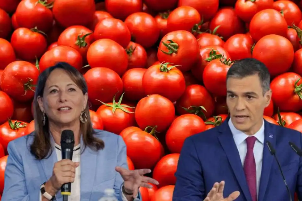 pomodori pedro sanchez segolene royal spagna francia