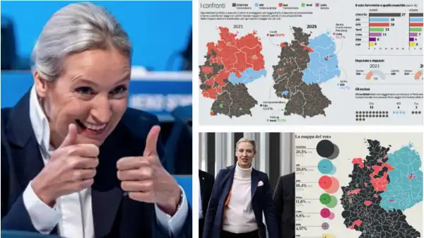 alice weidel voto afd mappa