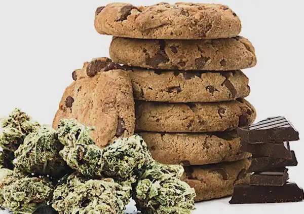 biscotti droga hashish marijuana 