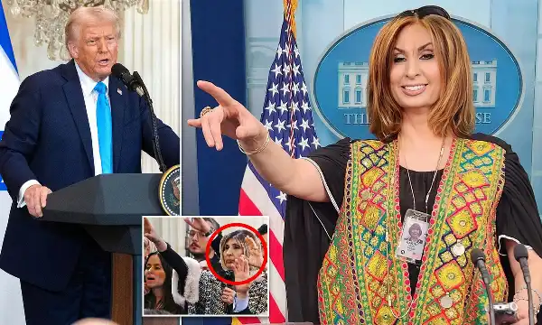 donald trump nazira karimi 