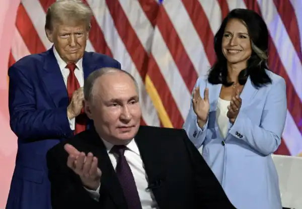 donald trump tulsi gabbard vladimir putin 