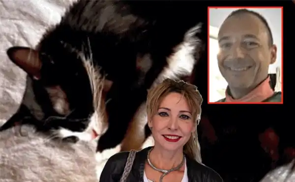 nicoletta spelgatti gianluca fanelli gatto micia ospedale