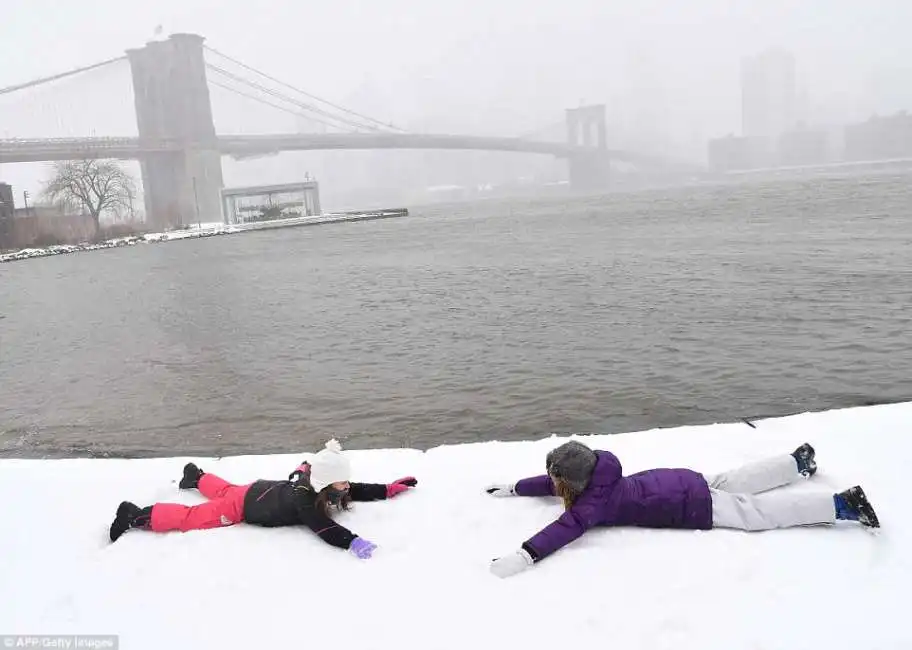 neve a new york stella