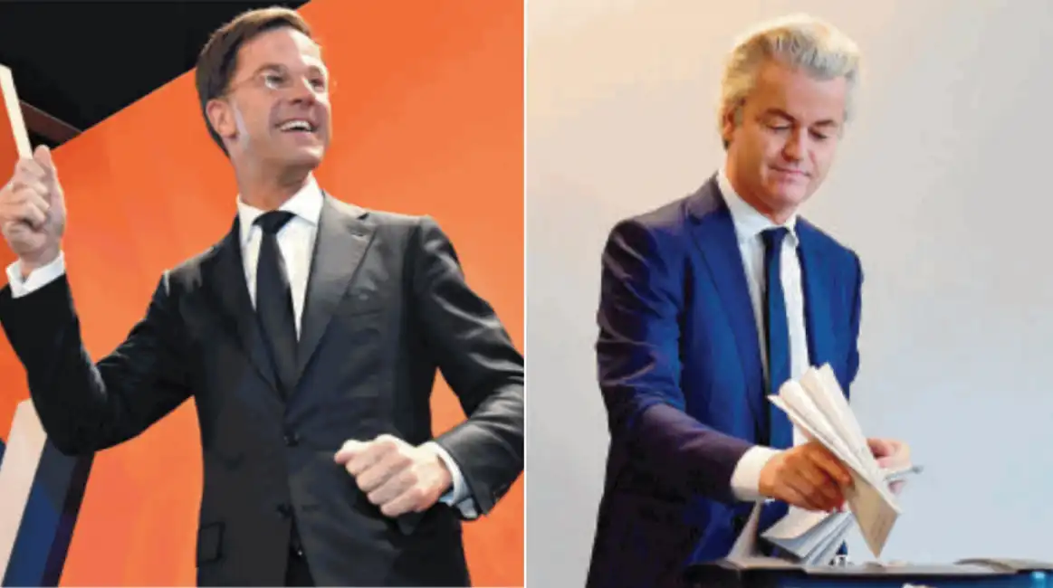 rutte wilders