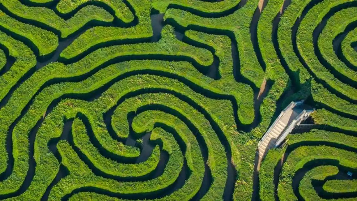 longleat hedge maze